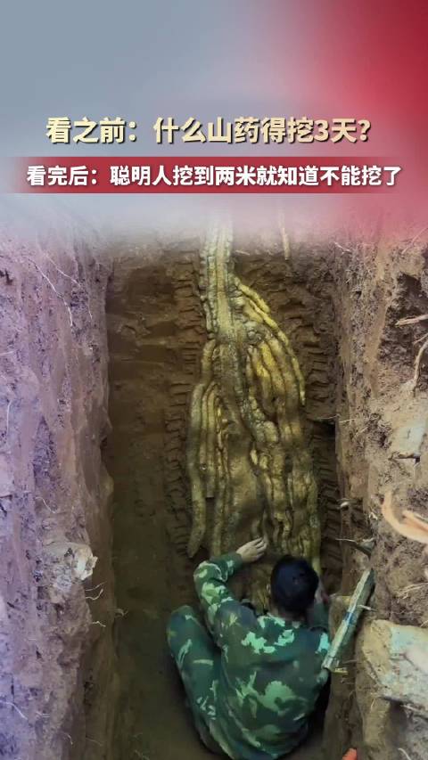 【#男子连挖3天山药深5米还没见底#】#山药挖3天男子挖到怀疑人生# 10月9日（报道）云南。男子挖