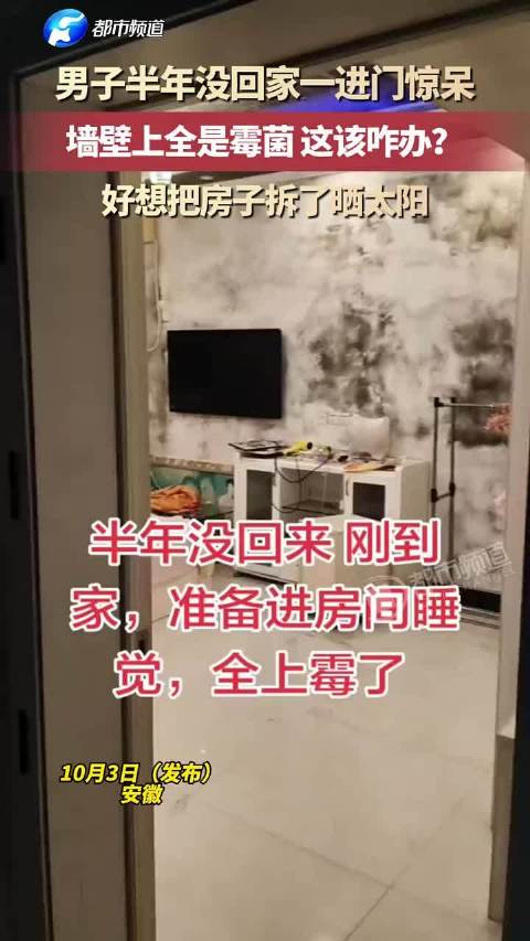 【#男子半年没回家墙壁长满霉菌#】#男子半年后回家见满墙霉斑傻眼# 10月4日（报道）安徽。男子半年