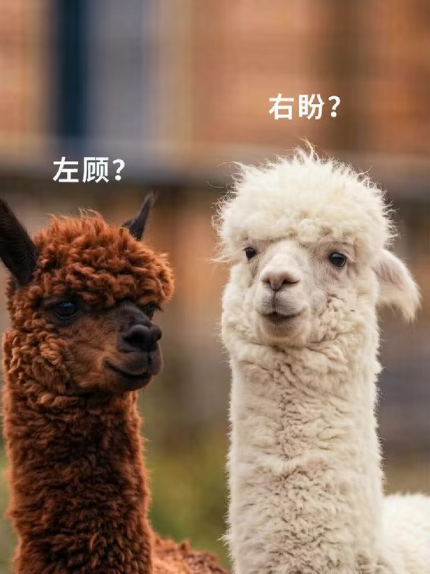前方出没，一辆行走的视线收割机