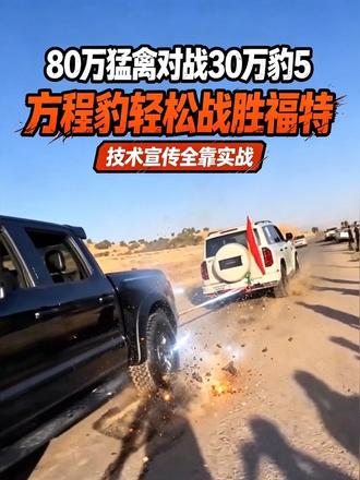 80万猛禽对战30万豹5，方程豹轻松战胜
