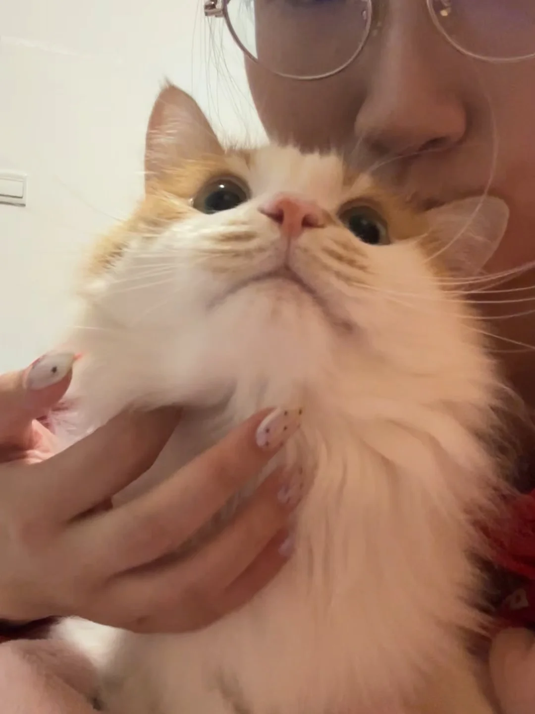 小火车来咯～