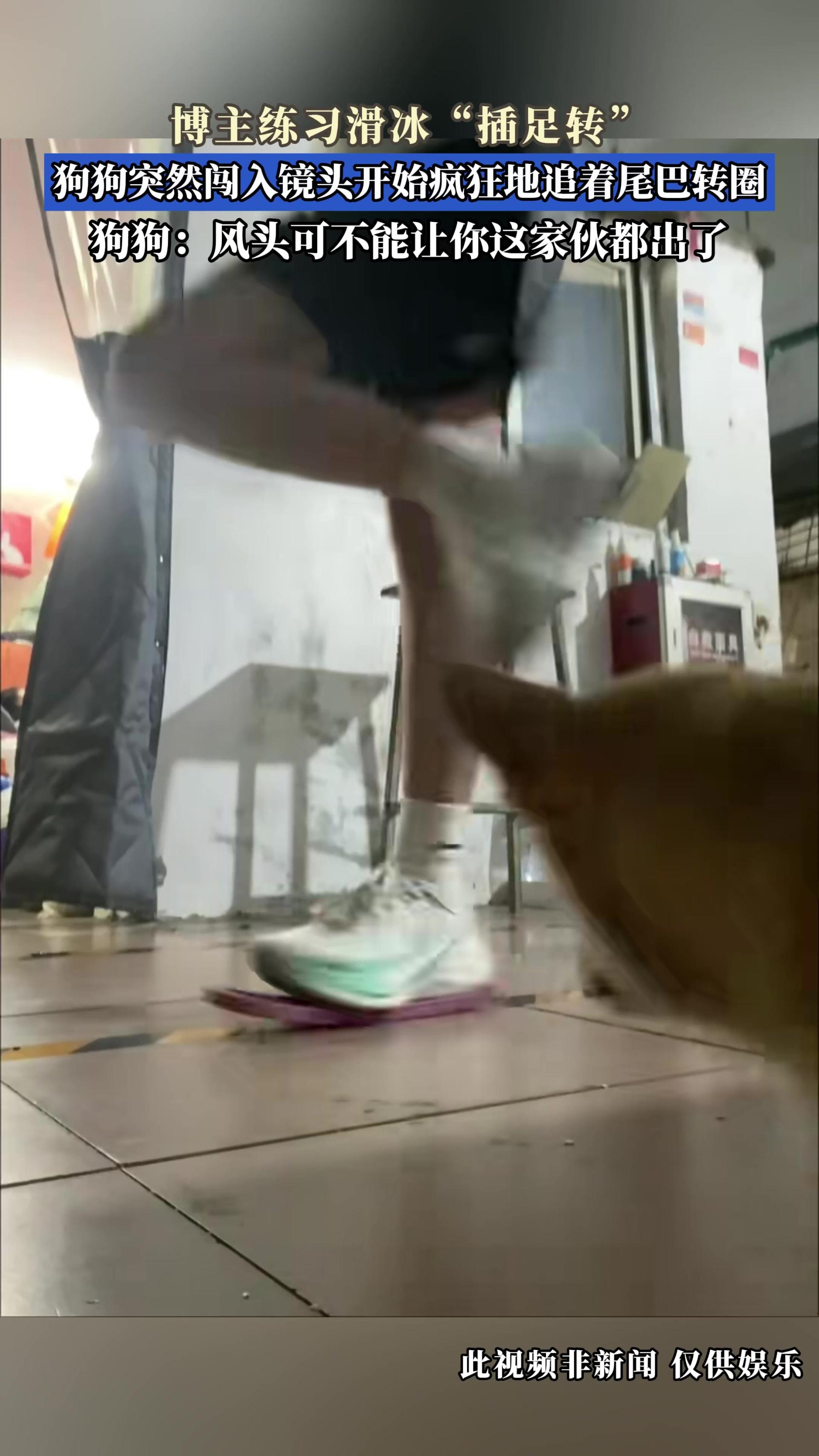 博主练习滑冰“插足转”，狗狗突然闯入镜头开始疯狂地追着尾巴转圈