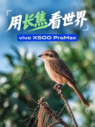 终于知道为什么摄影师都喜欢用长焦拍照！