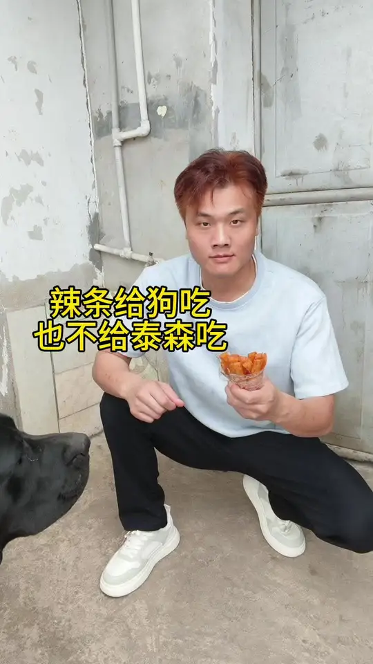 辣条给够吃，也不给泰森吃啊