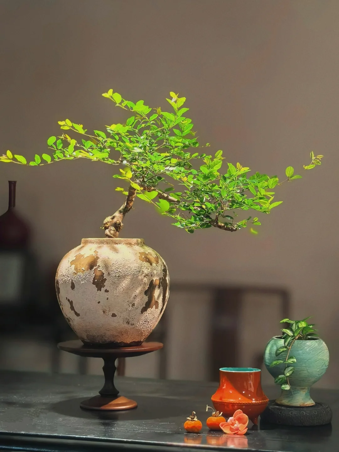 情不知所起，一往而深