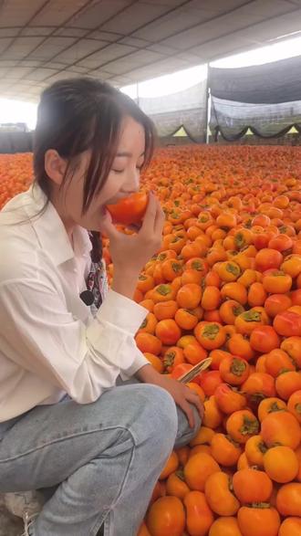 脆柿子