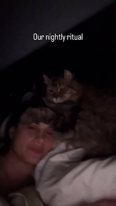小猫执意要帮妈妈捂眼睛  ​​​