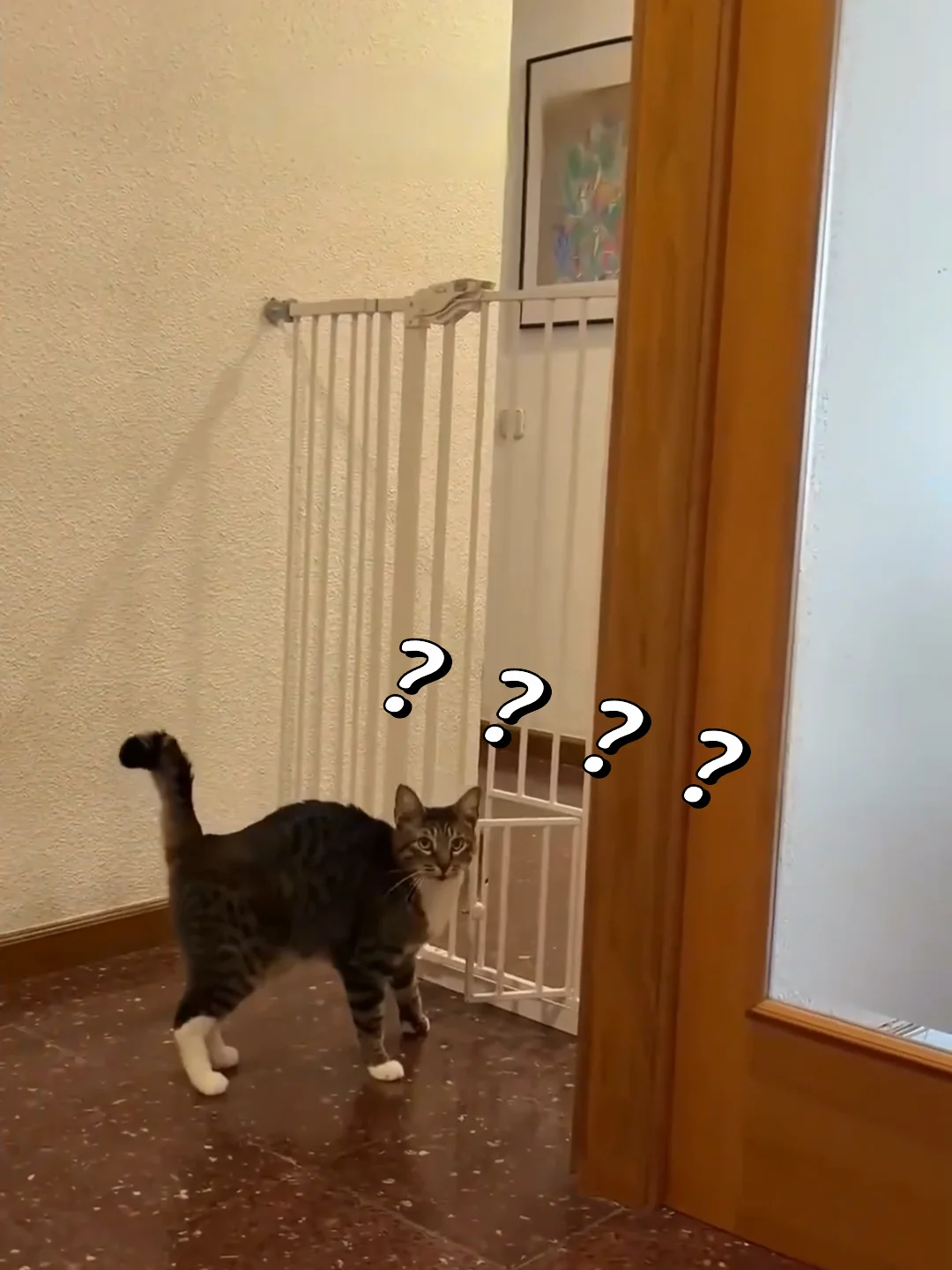 人:你看看那个蠢货🫣🫣