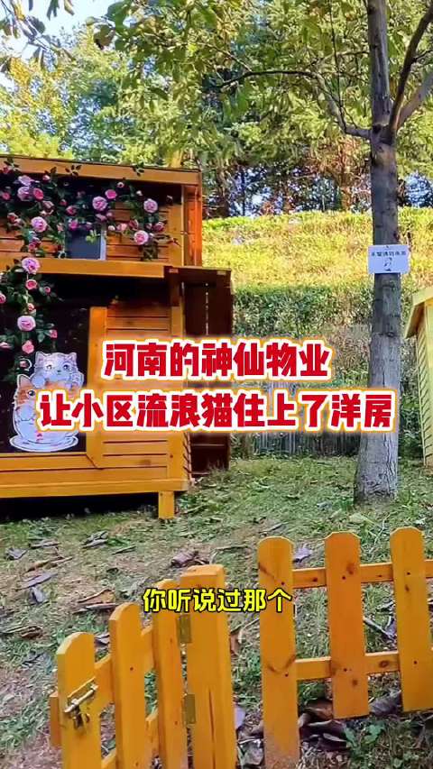 #听说在物业上班可以天天捡猫#河南的神仙物业