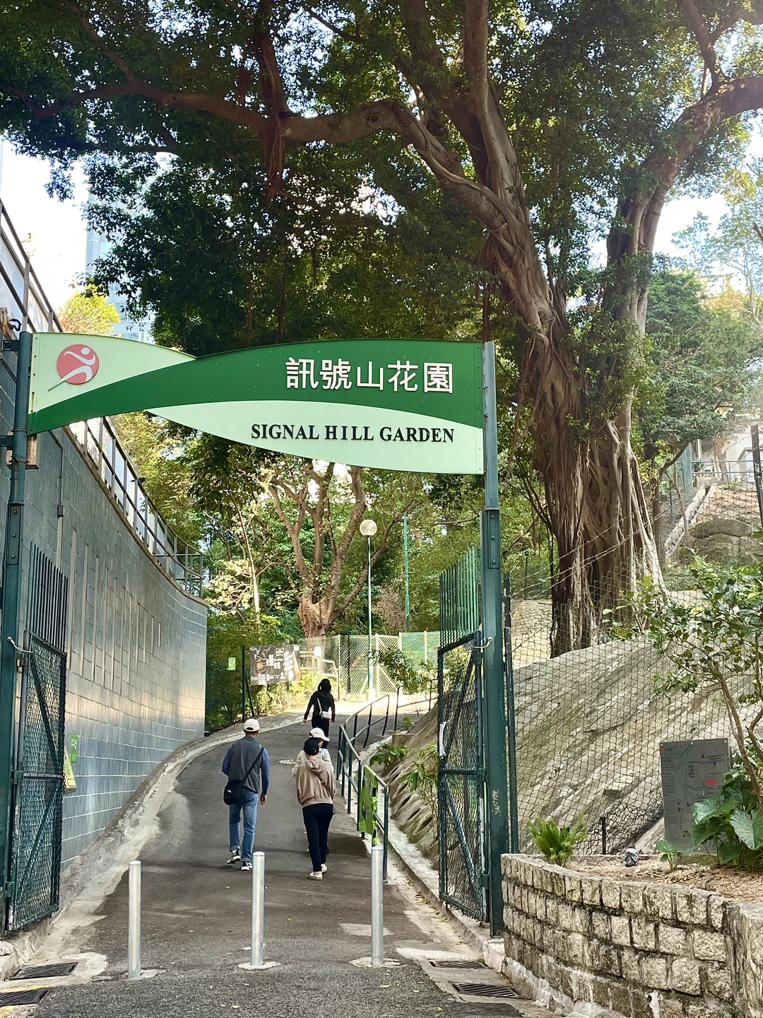 🇭🇰尖沙咀值得打卡的城市后花园（附路线…