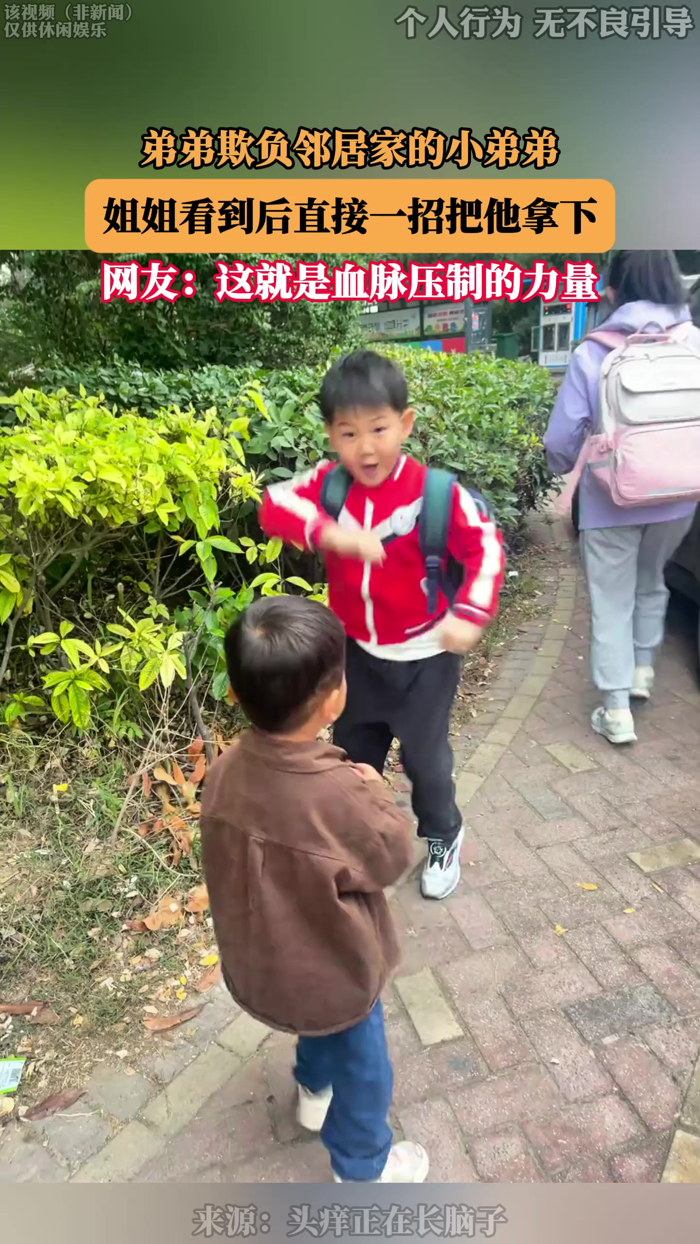 弟弟欺负邻居家的小弟弟，姐姐看到后直接一招把他拿下