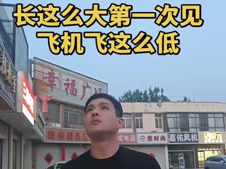 飞的太低了
