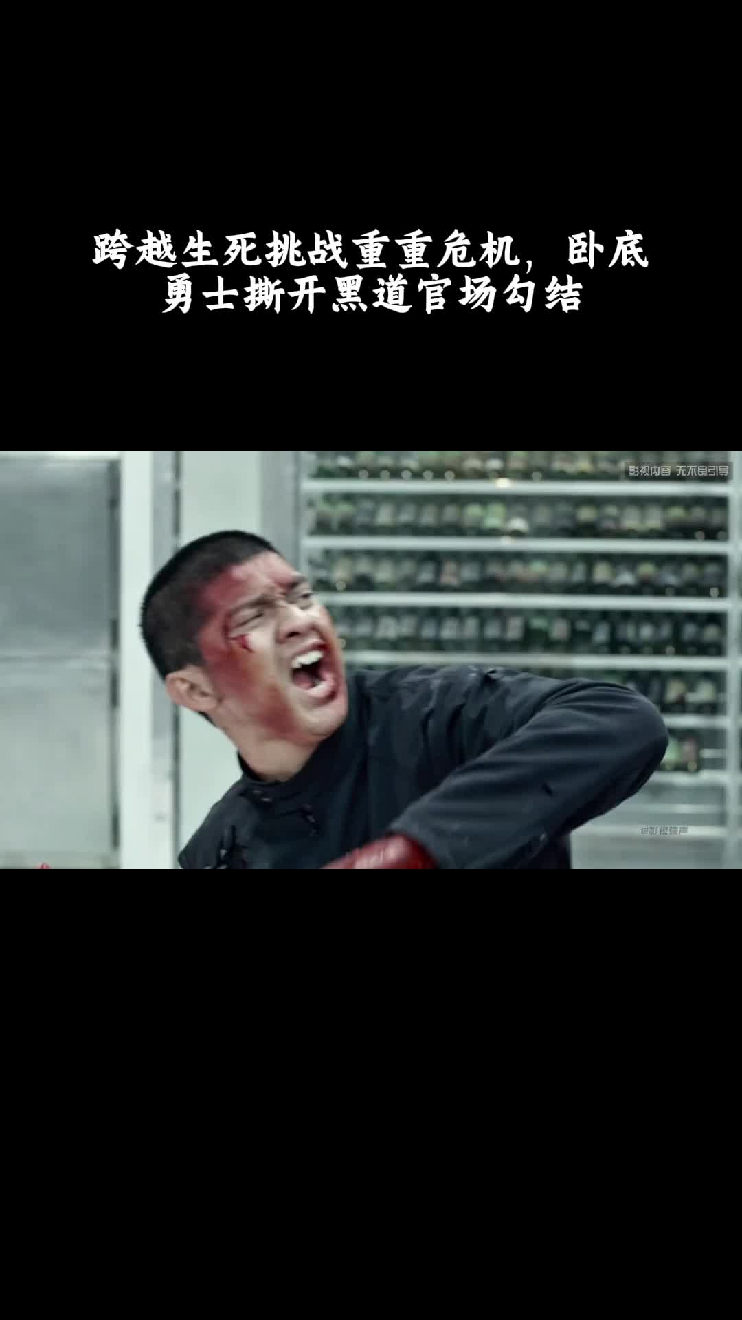 突袭2：暴徒：跨越生死挑战重重危机，卧底勇士撕开黑道官场勾结