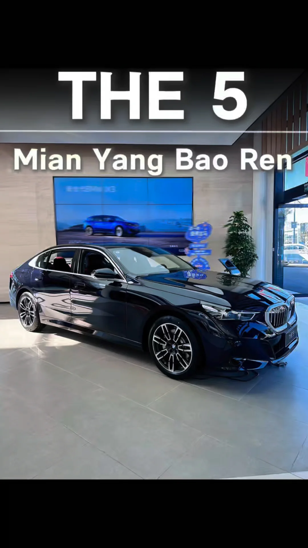 低调才是顶级奢华｜BMW 5系#宝马5系 #与宝马同行 #宝马