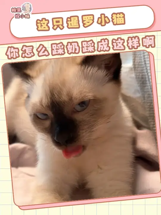 这小猫怎么踩个奶踩成这个样子啊     素材来源于：魔魔妈妈的魔魔