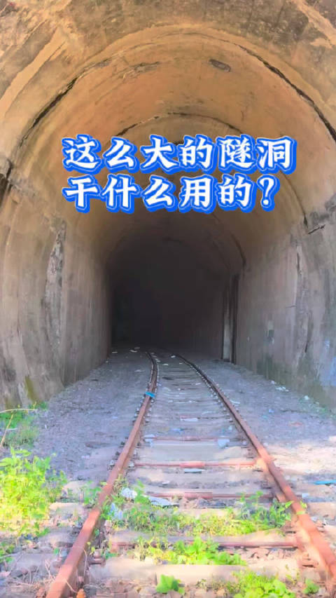 #苇砂河##桦甸##吉林# 藏在吉林五花山里的废弃隧洞大家知道吗