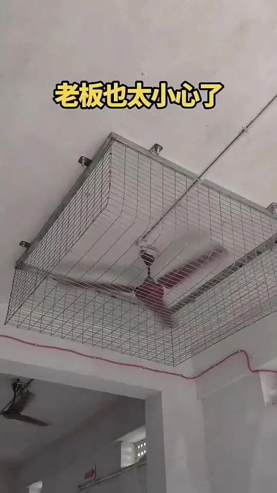 这老板也太小心了