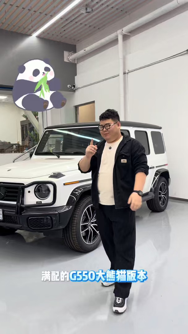 是谁在找大熊猫G550