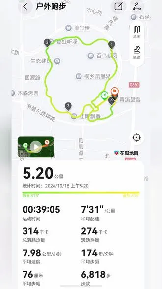 来个晨间告白5.20 只属于清晨的浪漫 湖边的年轻人弹着吉他     天鹅伴舞 我也来凑热闹    