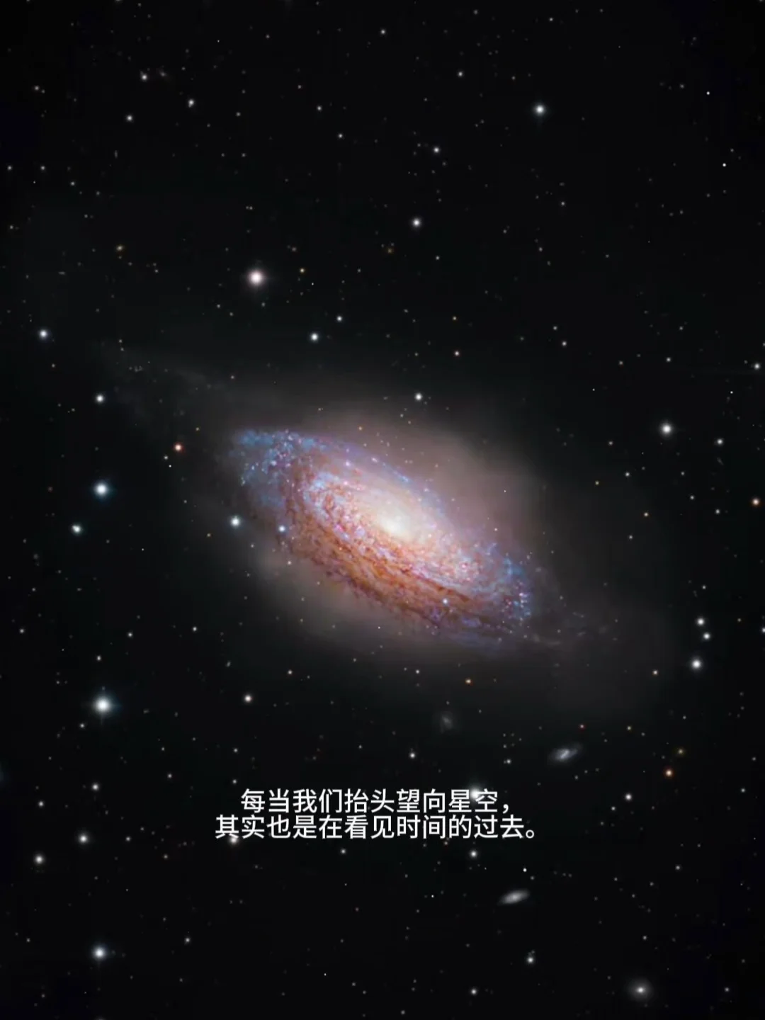 宇宙没有目的 却诞生了会追问意义的生命