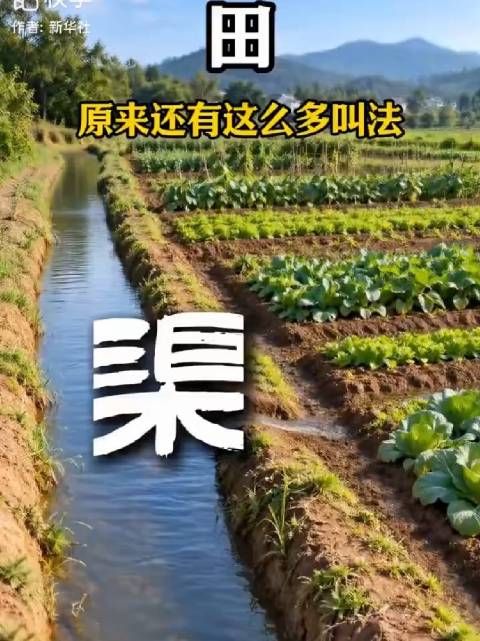 涨知识！原来“田”里还有这么多叫法