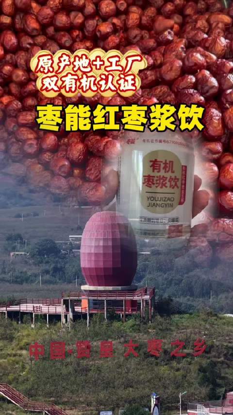 #大国智造##河北产业# 赞皇三倍体有机大枣→枣能红枣原浆饮料 ​
