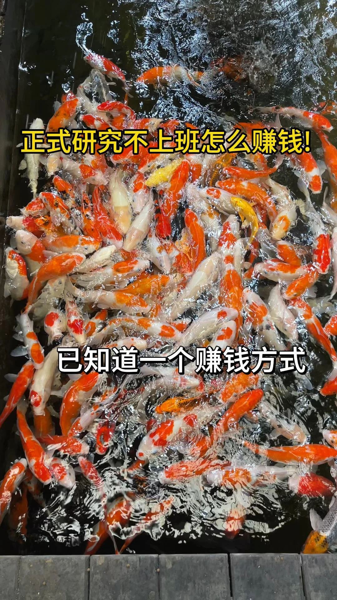 正式研究不上班怎么赚钱