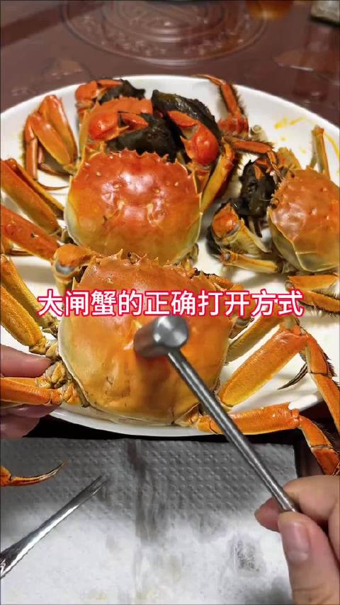 大闸蟹的正确打开方式#冷知识百科##专业视频创作季#  ​​​