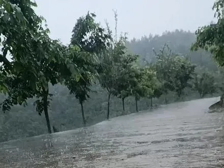 风里 雨里 我在金光山等你…… 来自纯天大自然的美