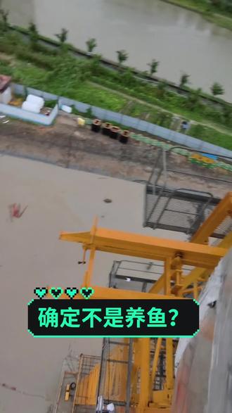 躺板板的一天，看你们表演抽水😂😂