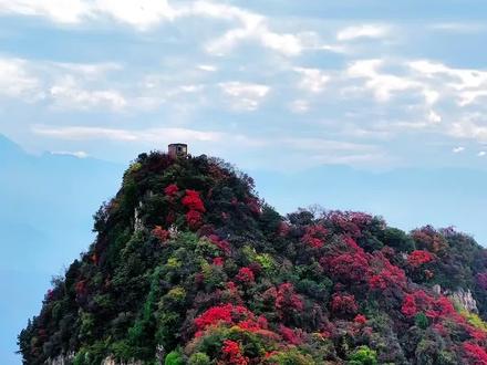 本周实测🍁圭峰山已经到了最佳观赏期 抓住短暂红叶时间，西安出发1日往返免费去赏红叶