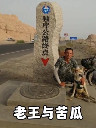一只在无人区的残疾流浪狗“苦瓜”遇见了让它甜蜜的神