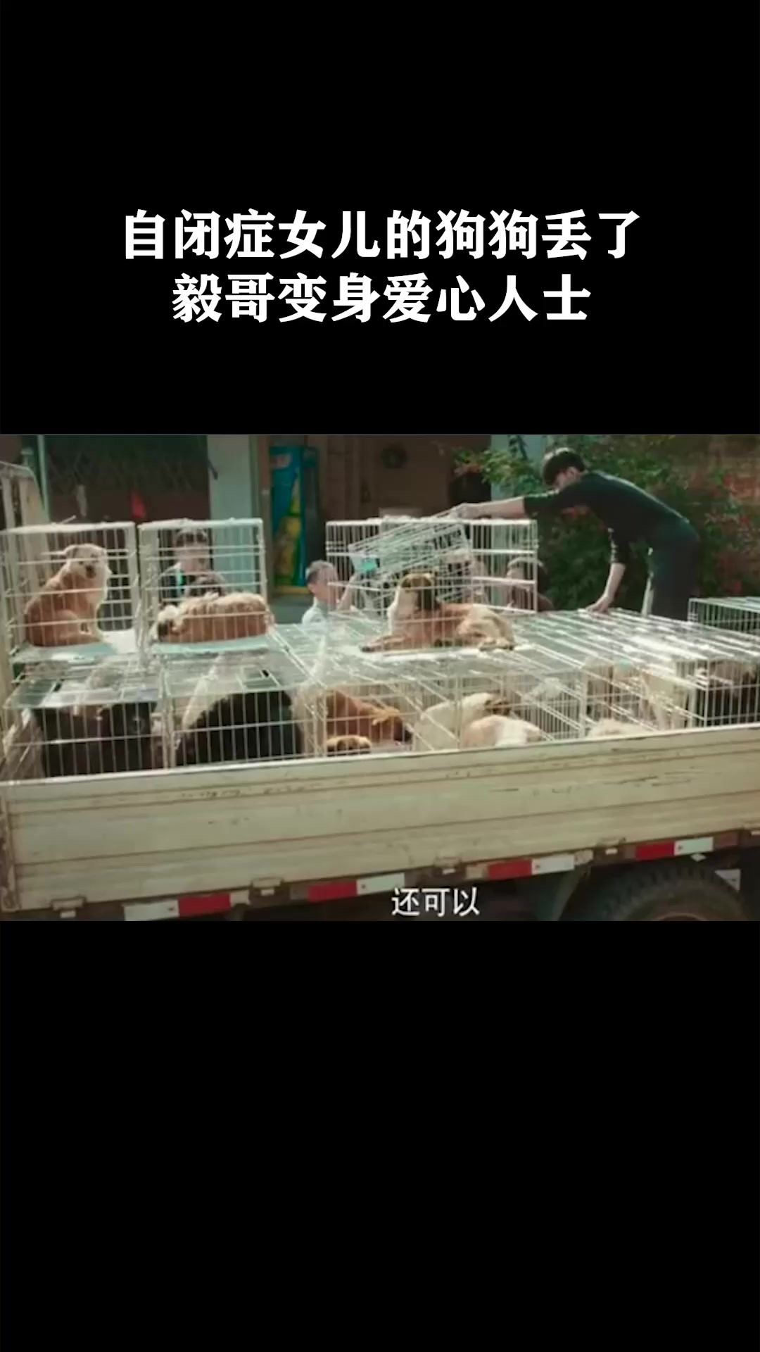 自闭症女儿的狗狗丢了，毅哥变身爱心人士《我是谁的宝贝》