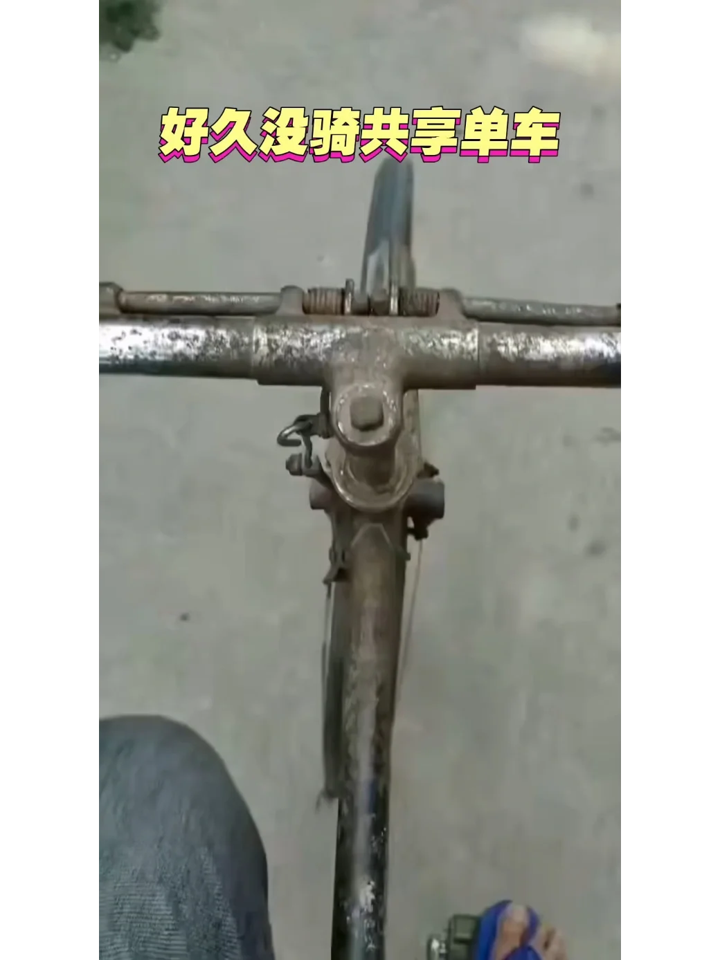 好久没骑共享单车🚲