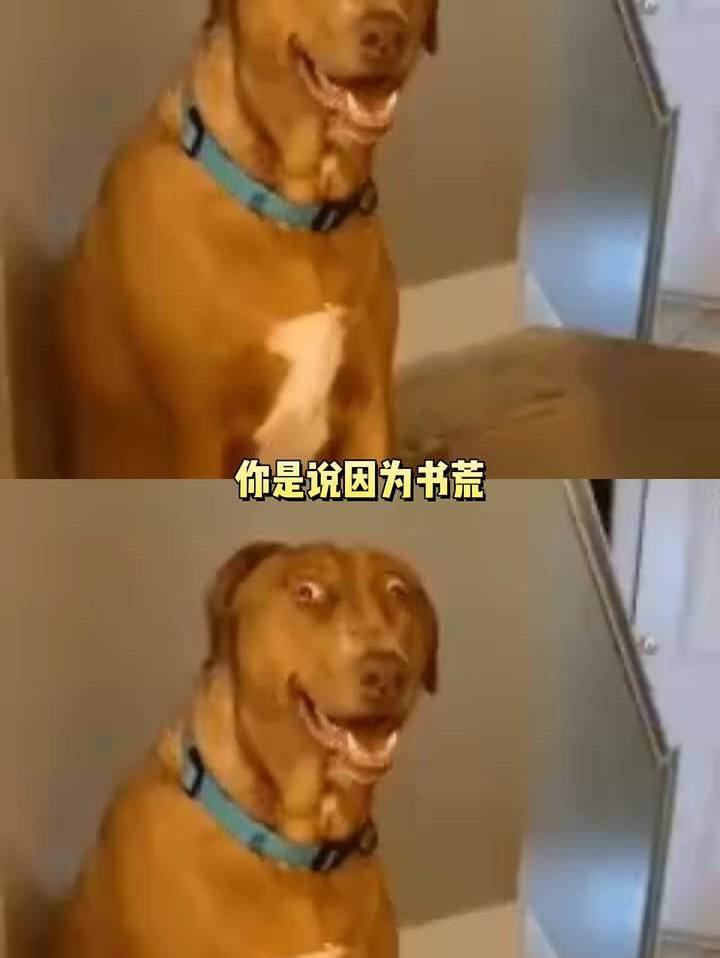 孩子你有这个毅力干什么都会成功的