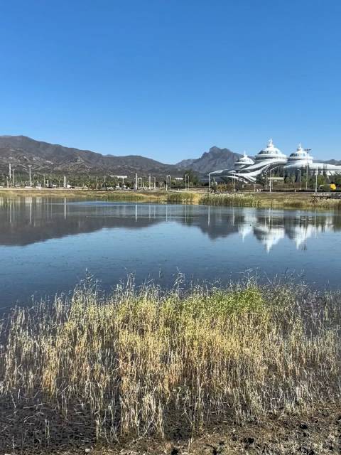 祖国正北方，靓丽内蒙古。内蒙古一半草原，一半戈壁，这是属于内蒙古高原的魅力。不到内蒙，不知祖国之幅员
