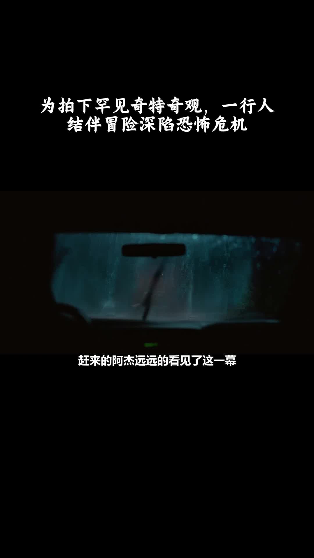 不：为拍下罕见奇特奇观，一行人结伴冒险深陷恐怖危机