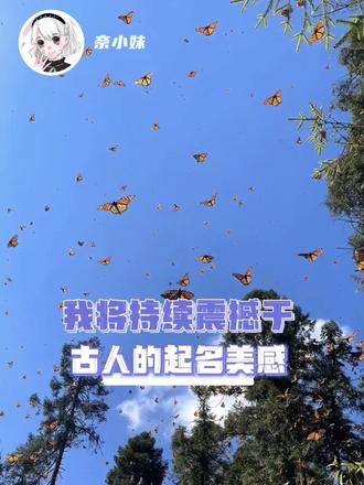 老祖宗对外界的感知果然是一绝！
