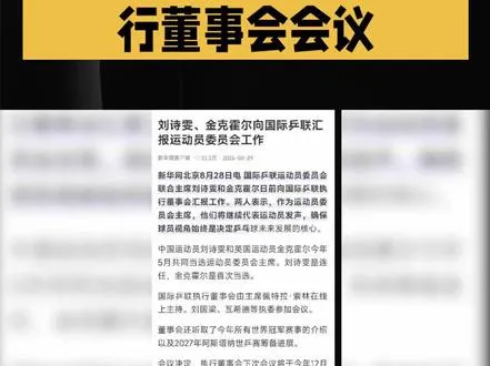 刘国梁出席国际乒联执行董事会会议   刘国梁出席国际乒联执行董事会会议