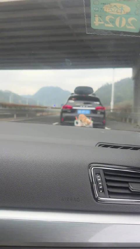 不太想知道🤦♂️后续🥺