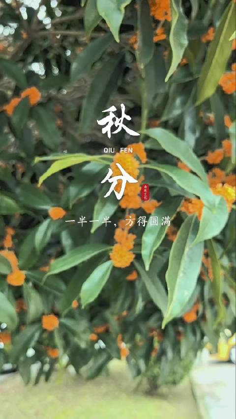 #川西川藏大西北拼车旅行[超话]# 🌾今日秋分｜昼夜均分，秋色平分一半烟火日常，一半山野远方。世事有