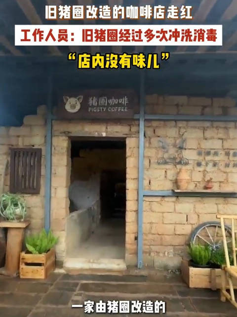 【#猪圈咖啡走红你敢去打卡吗#】 近日，广西，一家由旧猪圈改造的咖啡店走红网络