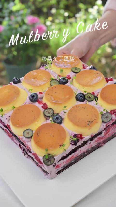 莓莓桑葚布丁🍰  ​​​