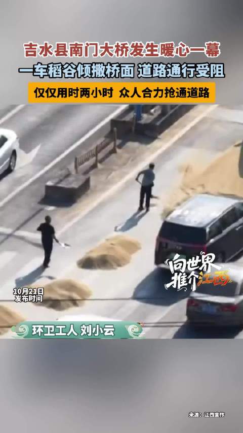 【#吉安一地众人齐心2小时抢通桥面##吉水稻谷撒落警民相助2小时通车#】一车稻谷意外撒落吉水南门大桥