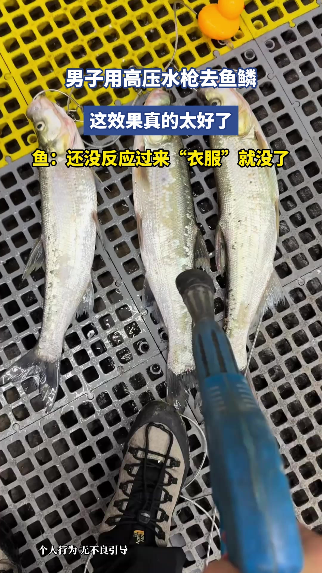 男子用高压水枪去鱼鳞，这效果真的太好了，鱼：还没反应过来“衣服”就没了