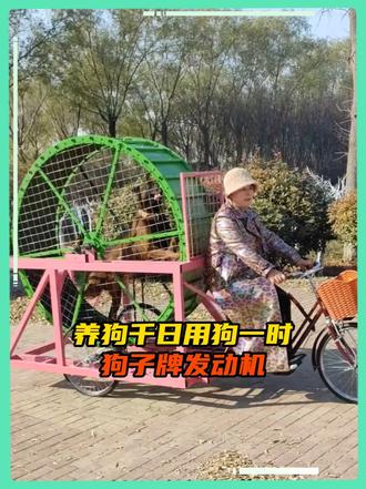 狗牌发动机用着不烧心