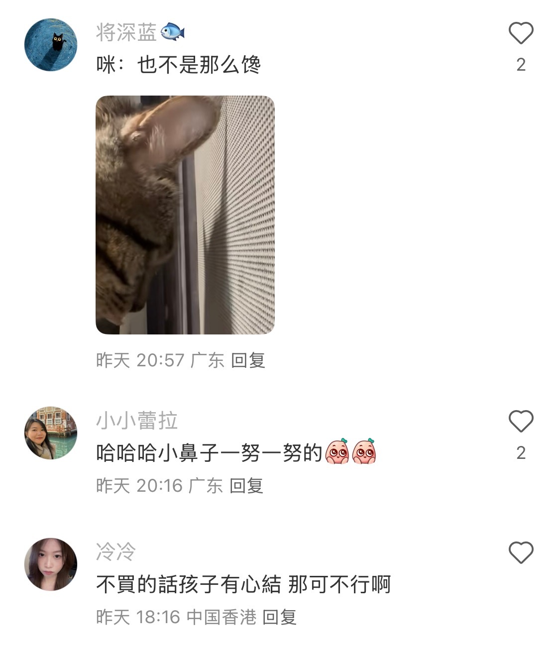 发现外面开了一家烧烤店的小咪be like <p class="imgbox