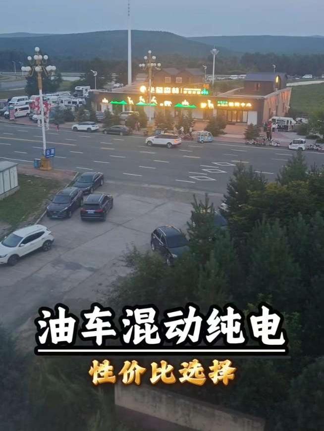 内蒙的小城，街上跑的还是油车和混动居多。纯电车，三四百公里都找不到充电桩，这可怎么搞！