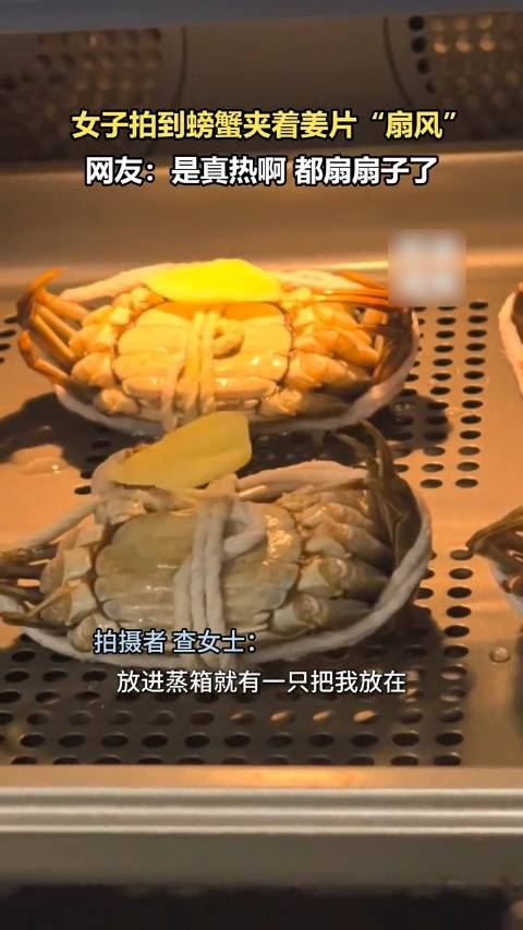 #江苏爆料#【#蒸箱里螃蟹举姜片给自己扇扇子#】近日，江苏