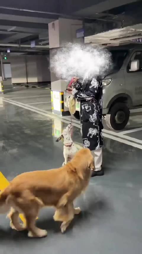 女子遛大型犬不拴绳扑向抱娃妈妈，狗主人反摇人，弄来七八只大狗围堵一家三口